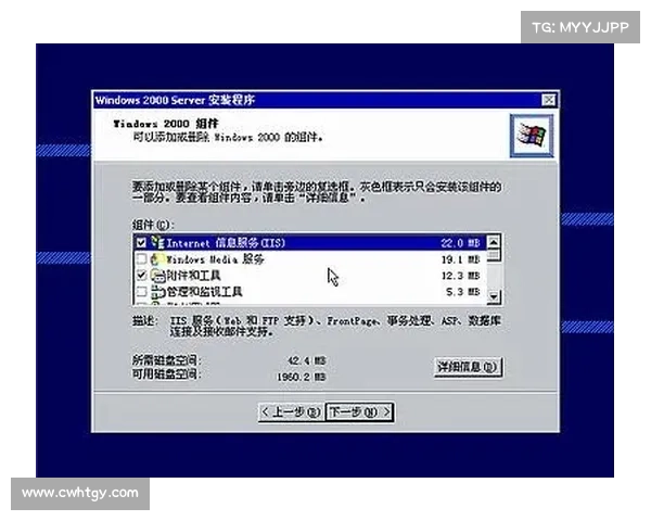 《鹰击长空1中文版详细安装教程及常见问题解决方案》 《鹰击长空1中文版详细安装教程及常见问题解决方案》