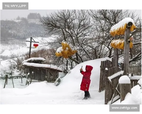 冬日静谧中的诗意画卷雪花飘落与寒风交织的自然美景 冬日静谧中的诗意画卷雪花飘落与寒风交织的自然美景