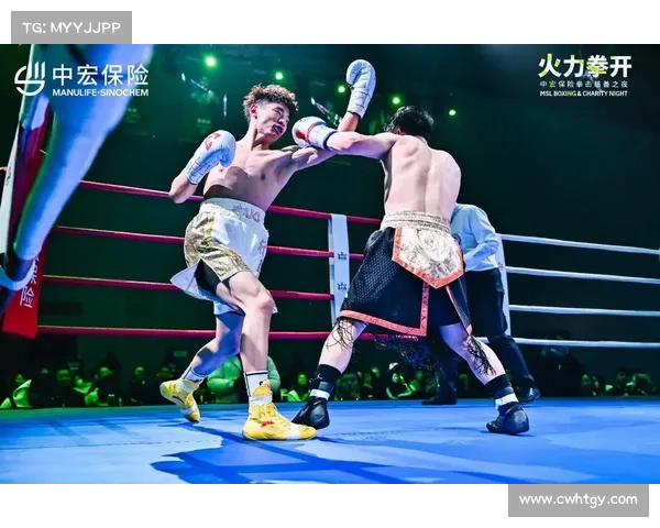 拳击赛事魅力全解析精彩节目与赛制深度揭秘