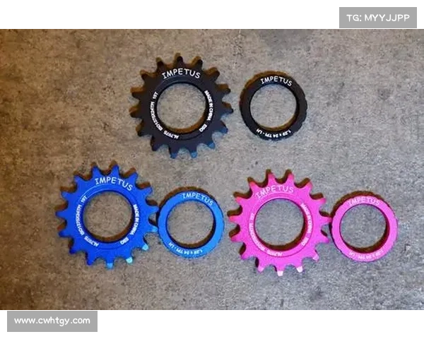 探秘东盟场地自行车女子赛成功秘诀与背后推动力量分析